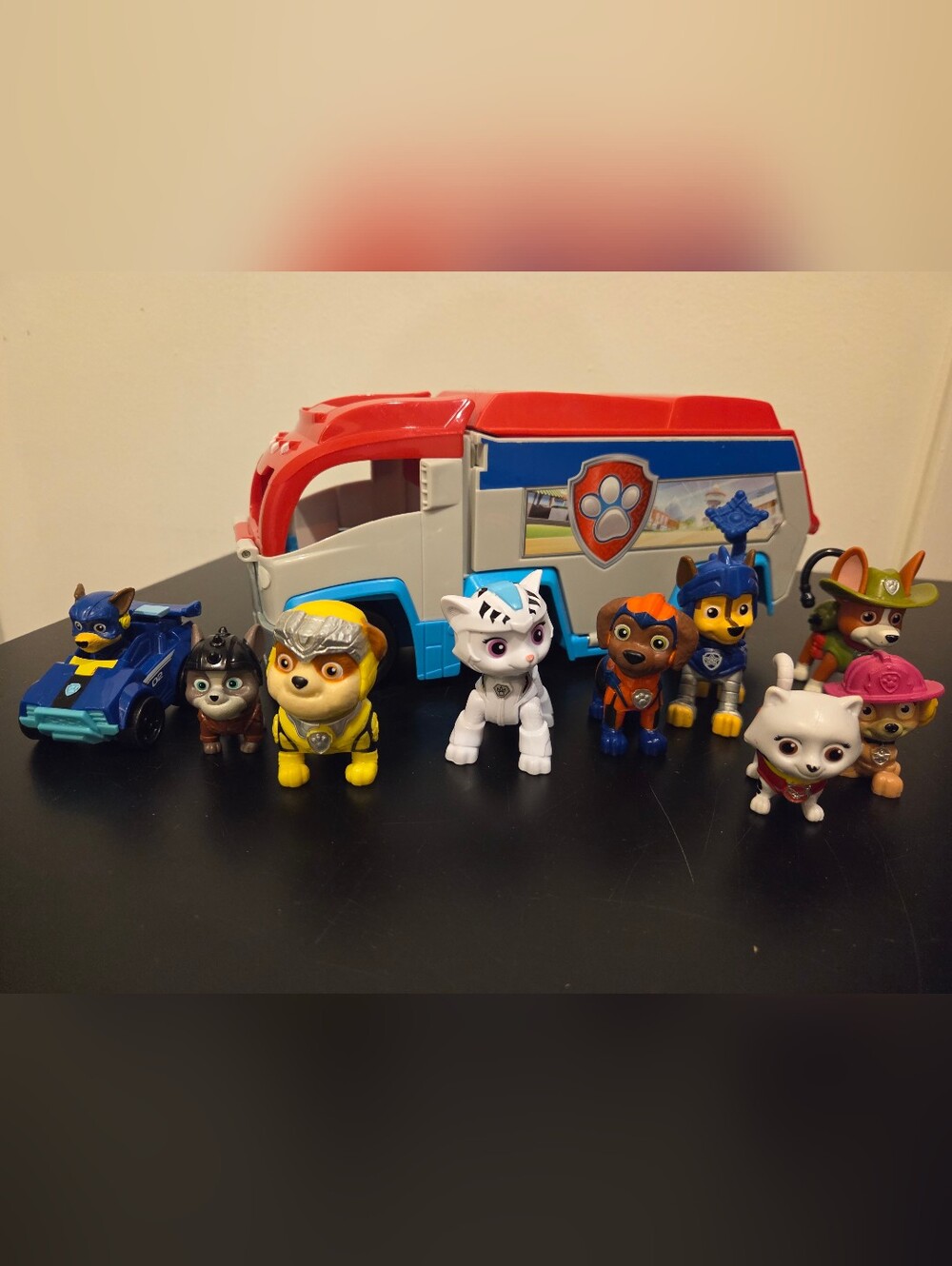Paw Patrol Bundle